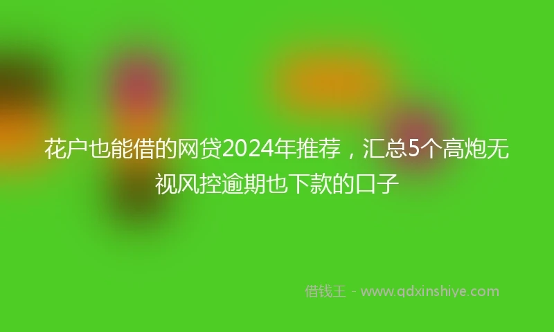 花户也能借的网贷2024年推荐，汇总5个高炮无视风控逾期也下款的口子
