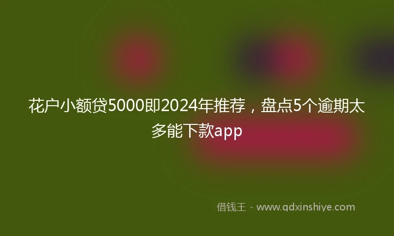 花户小额贷5000即2024年推荐，盘点5个逾期太多能下款app