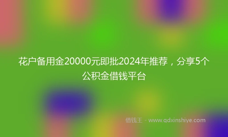 花户备用金20000元即批2024年推荐，分享5个公积金借钱平台