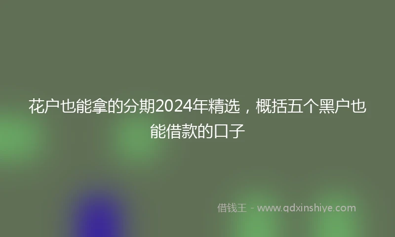 花户也能拿的分期2024年精选，概括五个黑户也能借款的口子