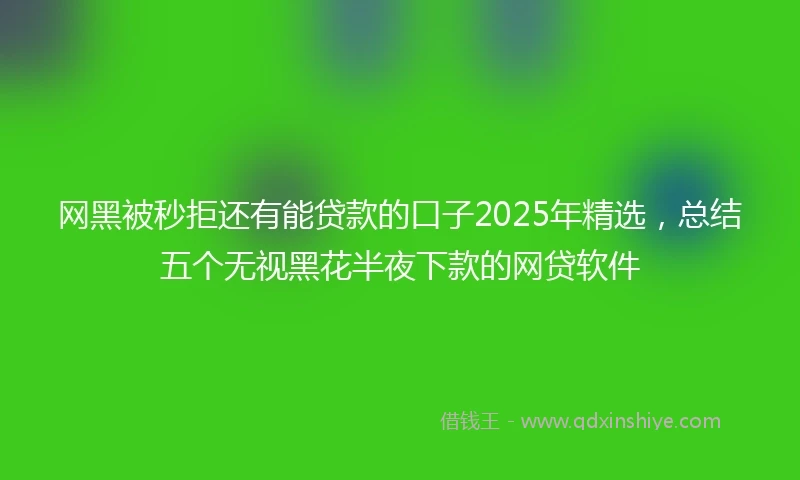 网黑被秒拒还有能贷款的口子2025年精选，总结五个无视黑花半夜下款的网贷软件
