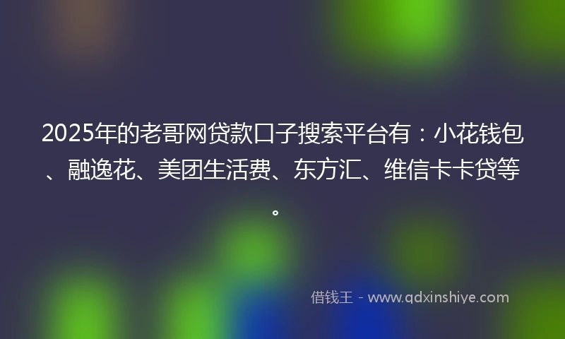 2025年的老哥网贷款口子搜索平台有：小花钱包、融逸花、美团生活费、东方汇、维信卡卡贷等。