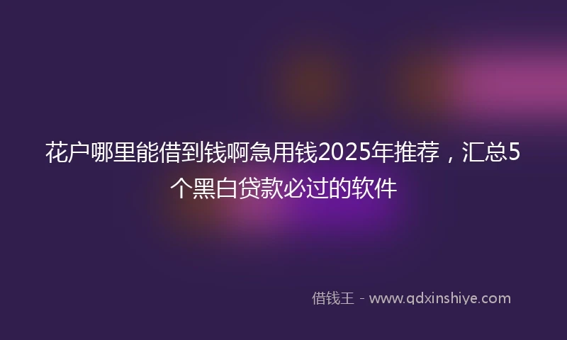 花户哪里能借到钱啊急用钱2025年推荐，汇总5个黑白贷款必过的软件