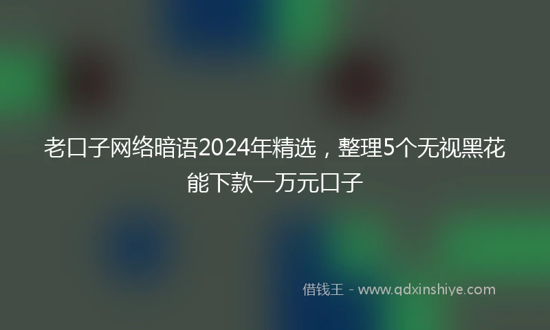 老口子网络暗语2024年精选，整理5个无视黑花能下款一万元口子