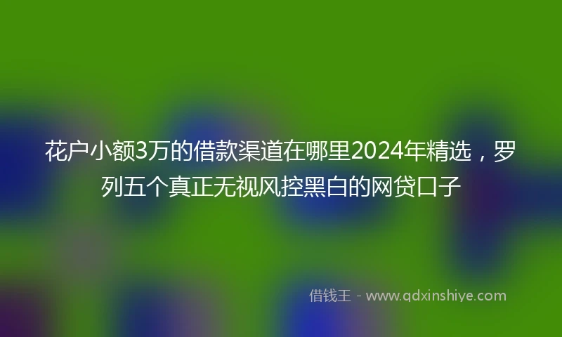 花户小额3万的借款渠道在哪里2024年精选，罗列五个真正无视风控黑白的网贷口子