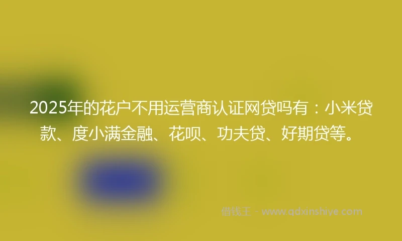 2025年的花户不用运营商认证网贷吗有：小米贷款、度小满金融、花呗、功夫贷、好期贷等。