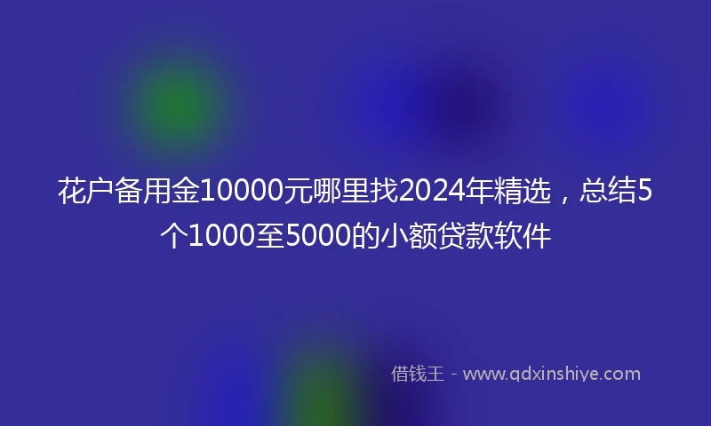 花户备用金10000元哪里找2024年精选，总结5个1000至5000的小额贷款软件