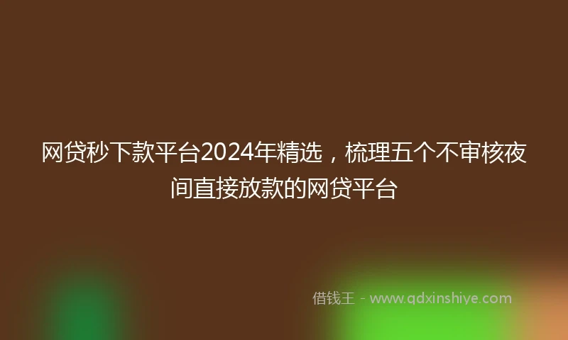 网贷秒下款平台2024年精选，梳理五个不审核夜间直接放款的网贷平台