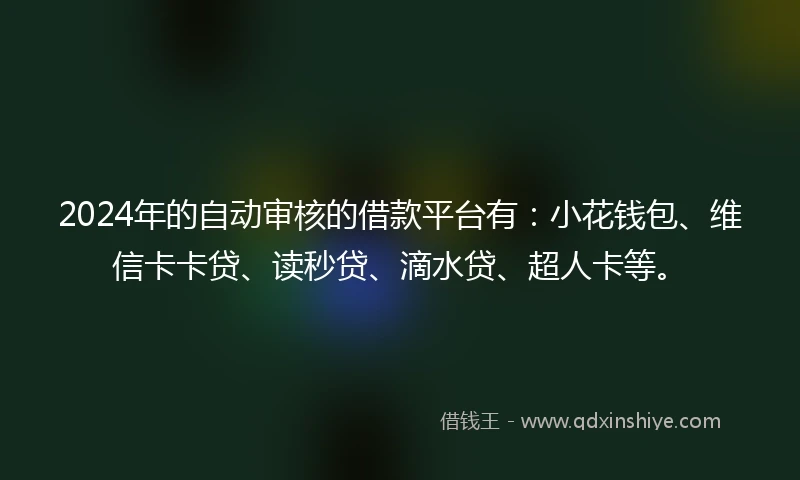 2024年的自动审核的借款平台有：小花钱包、维信卡卡贷、读秒贷、滴水贷、超人卡等。
