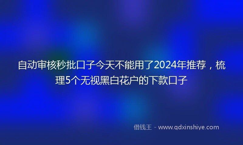 自动审核秒批口子今天不能用了2024年推荐，梳理5个无视黑白花户的下款口子