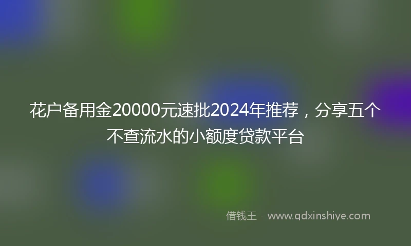 花户备用金20000元速批2024年推荐，分享五个不查流水的小额度贷款平台