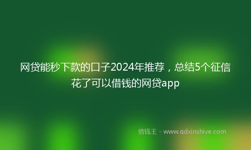 网贷能秒下款的口子2024年推荐，总结5个征信花了可以借钱的网贷app
