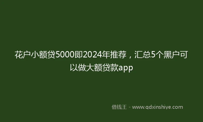 花户小额贷5000即2024年推荐，汇总5个黑户可以做大额贷款app