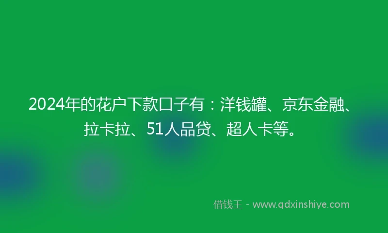 2024年的花户下款口子有：洋钱罐、京东金融、拉卡拉、51人品贷、超人卡等。