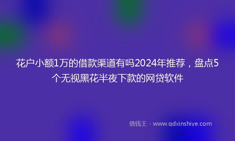 花户小额1万的借款渠道有吗2024年推荐，盘点5个无视黑花半夜下款的网贷软件