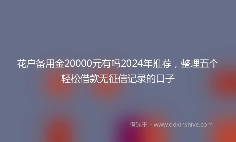 花户备用金20000元有吗2024年推荐，整理五个轻松借款无征信记录的口子