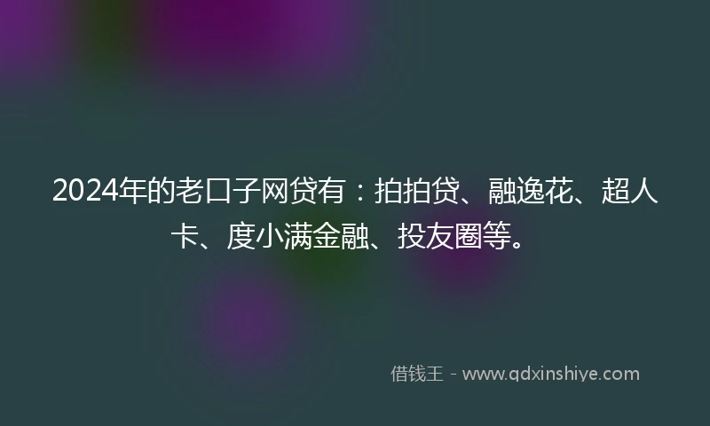 2024年的老口子网贷有：拍拍贷、融逸花、超人卡、度小满金融、投友圈等。