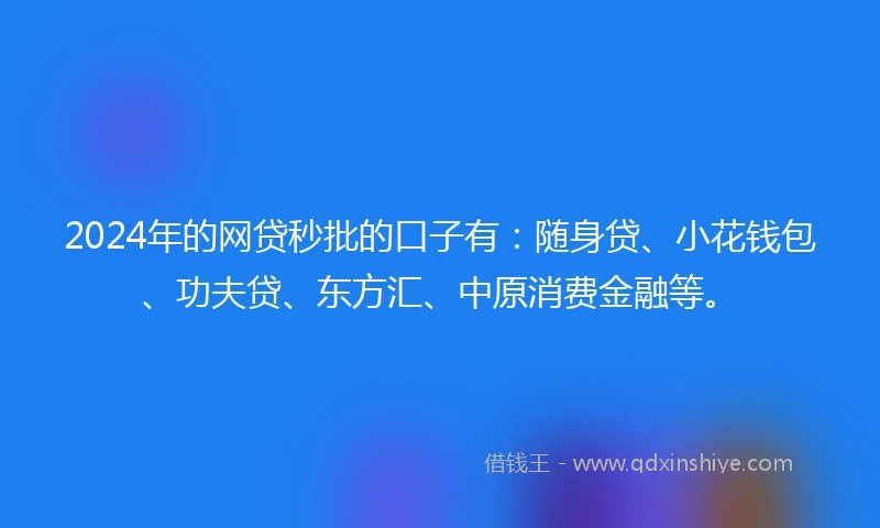 2024年的网贷秒批的口子有：随身贷、小花钱包、功夫贷、东方汇、中原消费金融等。