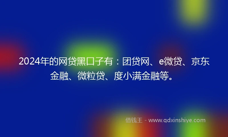 2024年的网贷黑口子有：团贷网、e微贷、京东金融、微粒贷、度小满金融等。