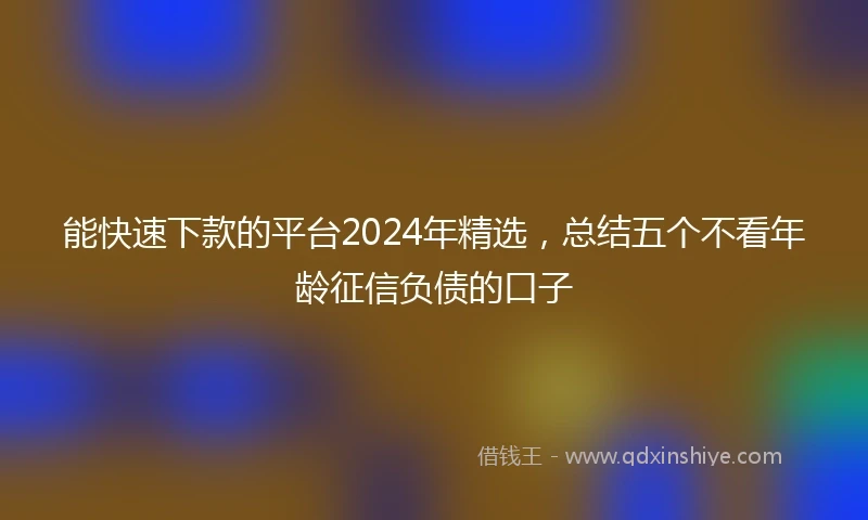 能快速下款的平台2024年精选，总结五个不看年龄征信负债的口子