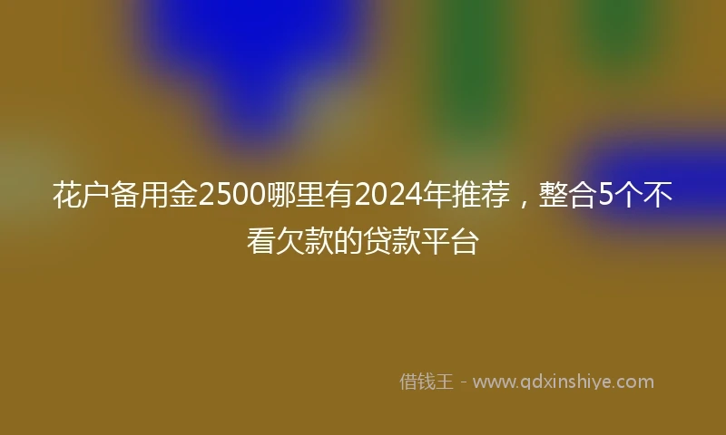花户备用金2500哪里有2024年推荐，整合5个不看欠款的贷款平台