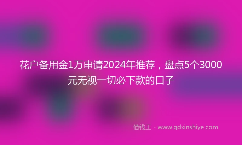 花户备用金1万申请2024年推荐，盘点5个3000元无视一切必下款的口子