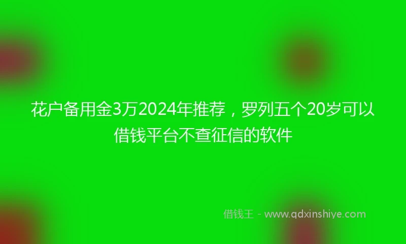 花户备用金3万2024年推荐，罗列五个20岁可以借钱平台不查征信的软件