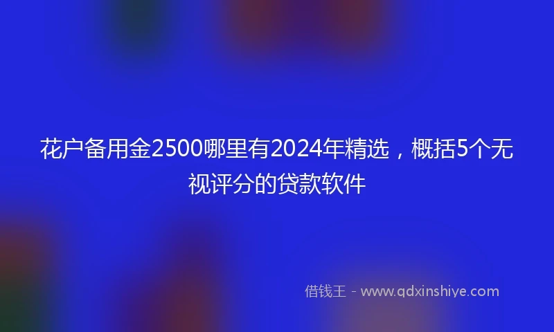 花户备用金2500哪里有2024年精选，概括5个无视评分的贷款软件