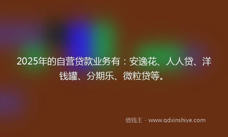 2025年的自营贷款业务有：安逸花、人人贷、洋钱罐、分期乐、微粒贷等。