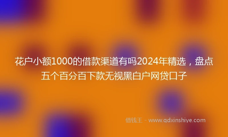 花户小额1000的借款渠道有吗2024年精选，盘点五个百分百下款无视黑白户网贷口子