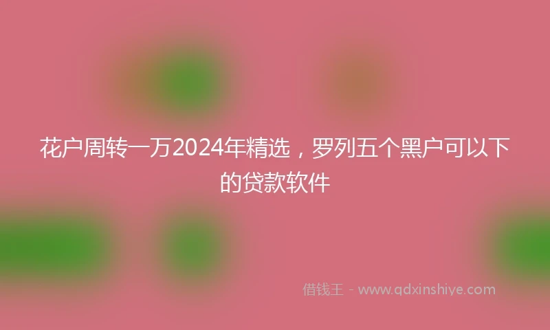 花户周转一万2024年精选，罗列五个黑户可以下的贷款软件