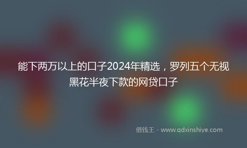 能下两万以上的口子2024年精选，罗列五个无视黑花半夜下款的网贷口子