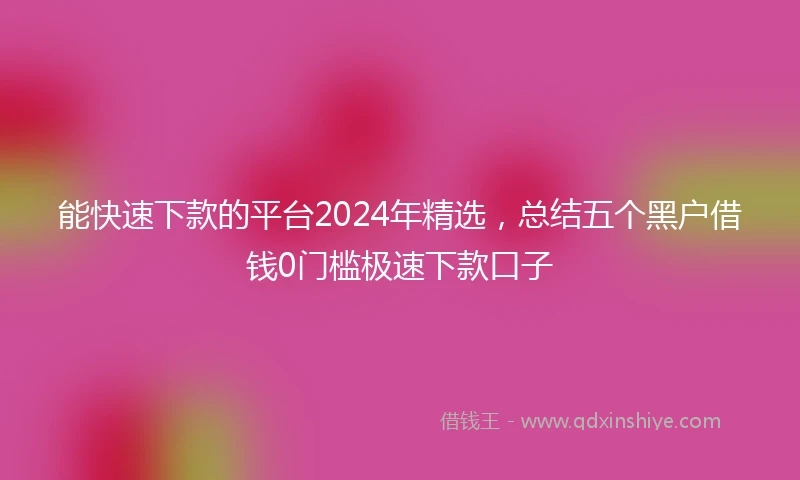 能快速下款的平台2024年精选，总结五个黑户借钱0门槛极速下款口子