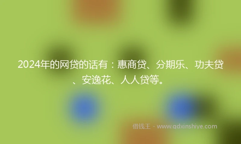 2024年的网贷的话有：惠商贷、分期乐、功夫贷、安逸花、人人贷等。
