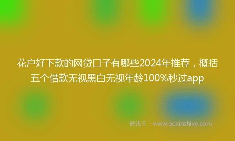 花户好下款的网贷口子有哪些2024年推荐，概括五个借款无视黑白无视年龄100%秒过app