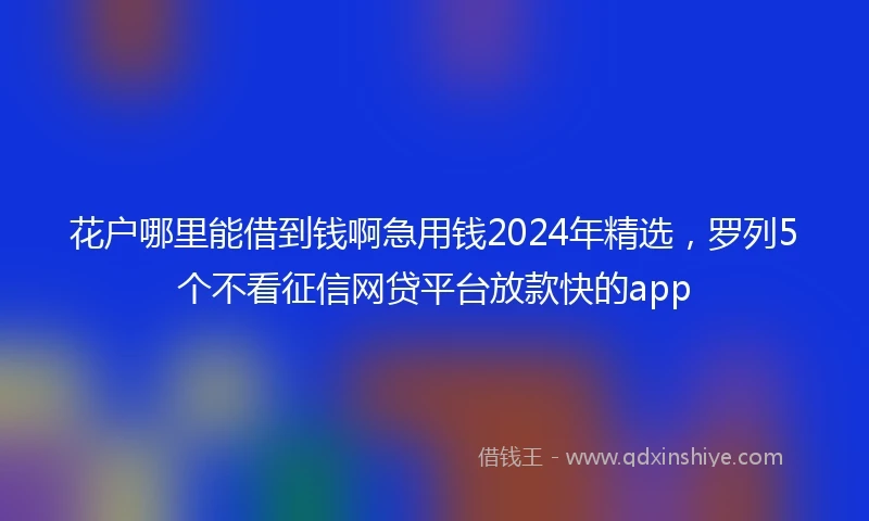 花户哪里能借到钱啊急用钱2024年精选，罗列5个不看征信网贷平台放款快的app