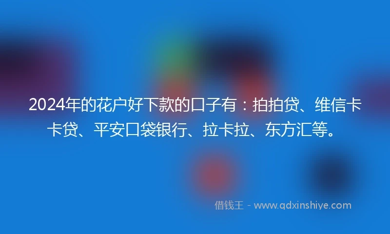 2024年的花户好下款的口子有：拍拍贷、维信卡卡贷、平安口袋银行、拉卡拉、东方汇等。