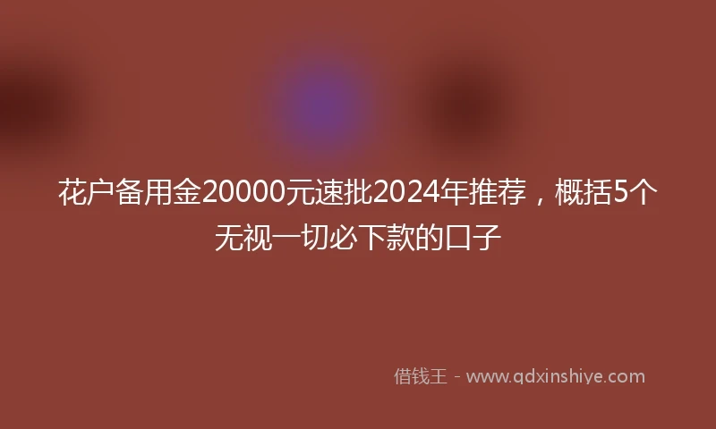 花户备用金20000元速批2024年推荐，概括5个无视一切必下款的口子