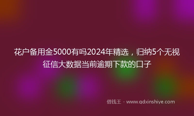 花户备用金5000有吗2024年精选，归纳5个无视征信大数据当前逾期下款的口子