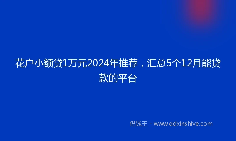 花户小额贷1万元2024年推荐，汇总5个12月能贷款的平台