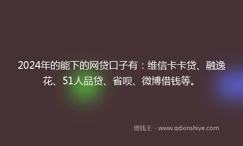2024年的能下的网贷口子有：维信卡卡贷、融逸花、51人品贷、省呗、微博借钱等。