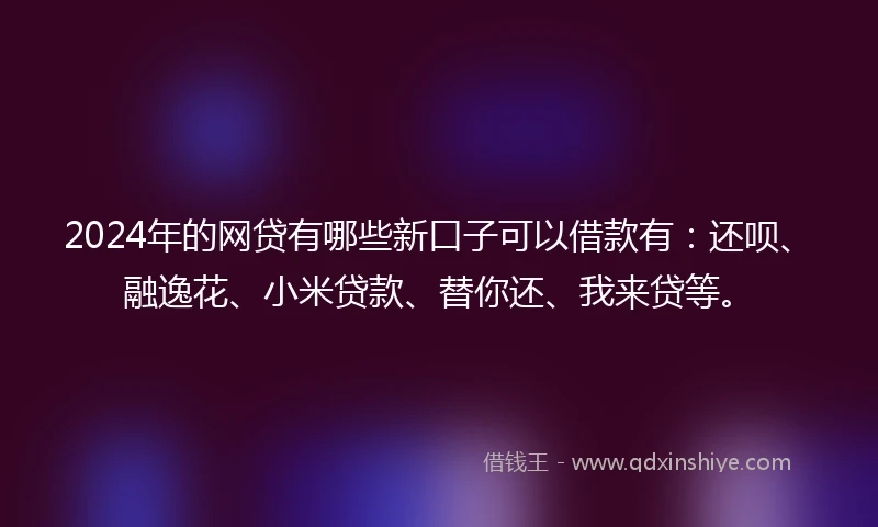 2024年的网贷有哪些新口子可以借款有：还呗、融逸花、小米贷款、替你还、我来贷等。