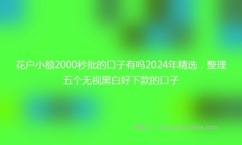 花户小额2000秒批的口子有吗2024年精选,整理五个无视黑白好下款的口子