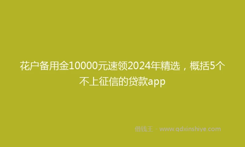 花户备用金10000元速领2024年精选，概括5个不上征信的贷款app