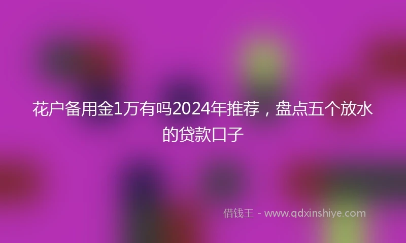 花户备用金1万有吗2024年推荐，盘点五个放水的贷款口子
