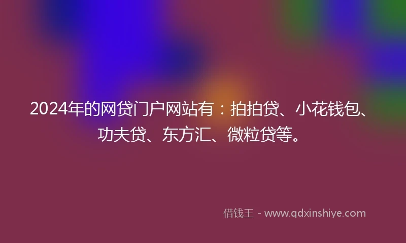 2024年的网贷门户网站有：拍拍贷、小花钱包、功夫贷、东方汇、微粒贷等。