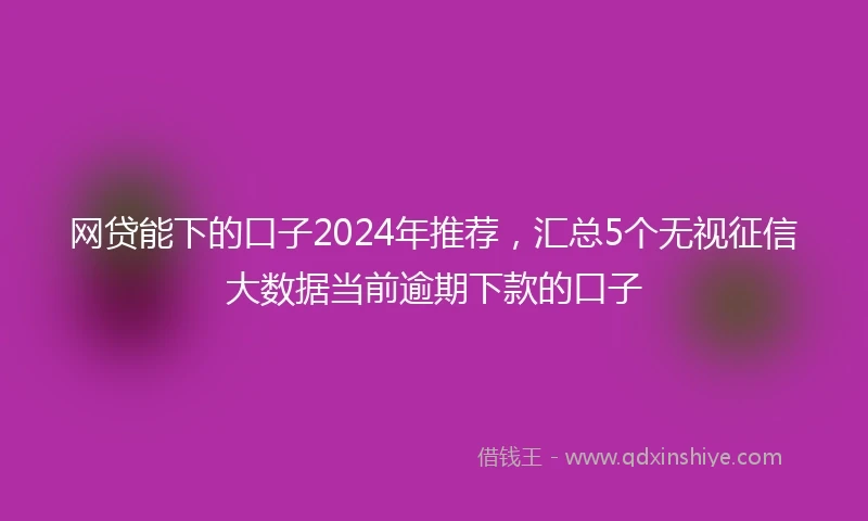 网贷能下的口子2024年推荐，汇总5个无视征信大数据当前逾期下款的口子