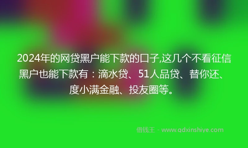 2024年的网贷黑户能下款的口子,这几个不看征信黑户也能下款有：滴水贷、51人品贷、替你还、度小满金融、投友圈等。
