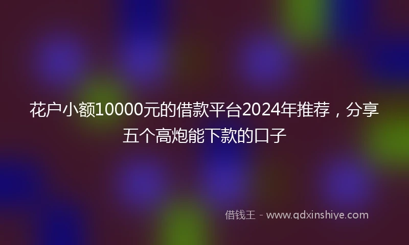 花户小额10000元的借款平台2024年推荐，分享五个高炮能下款的口子