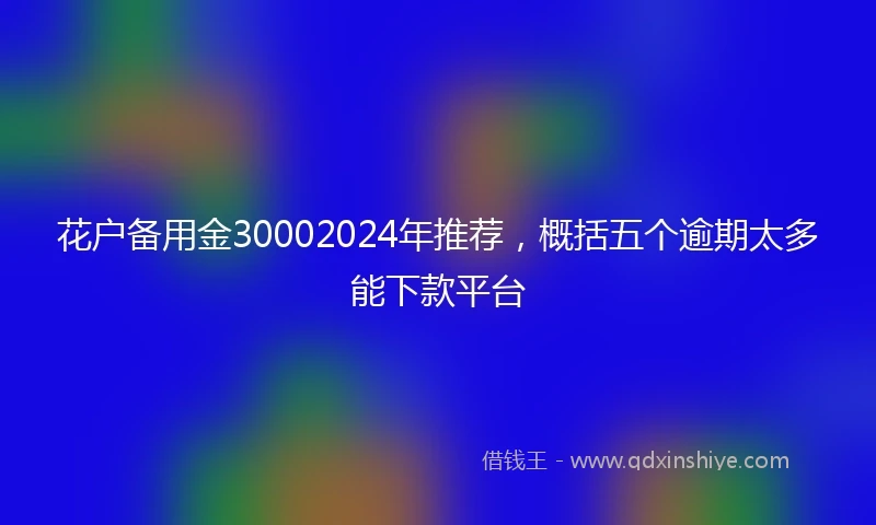 花户备用金30002024年推荐，概括五个逾期太多能下款平台